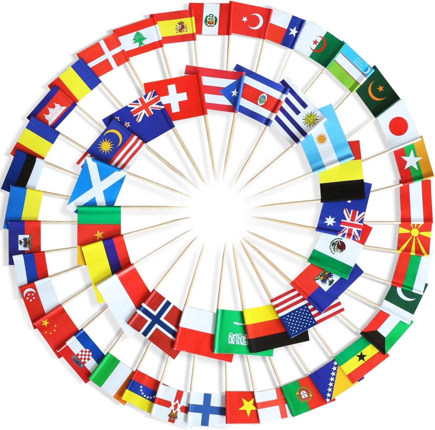 Anley Assorted 100 Different Countries Toothpick Flag - Vivid Double Sided Print & Solid Smooth Pick - Party Decoration Cocktail Fruit Stick Cupcakes Toppers(100 pcs)