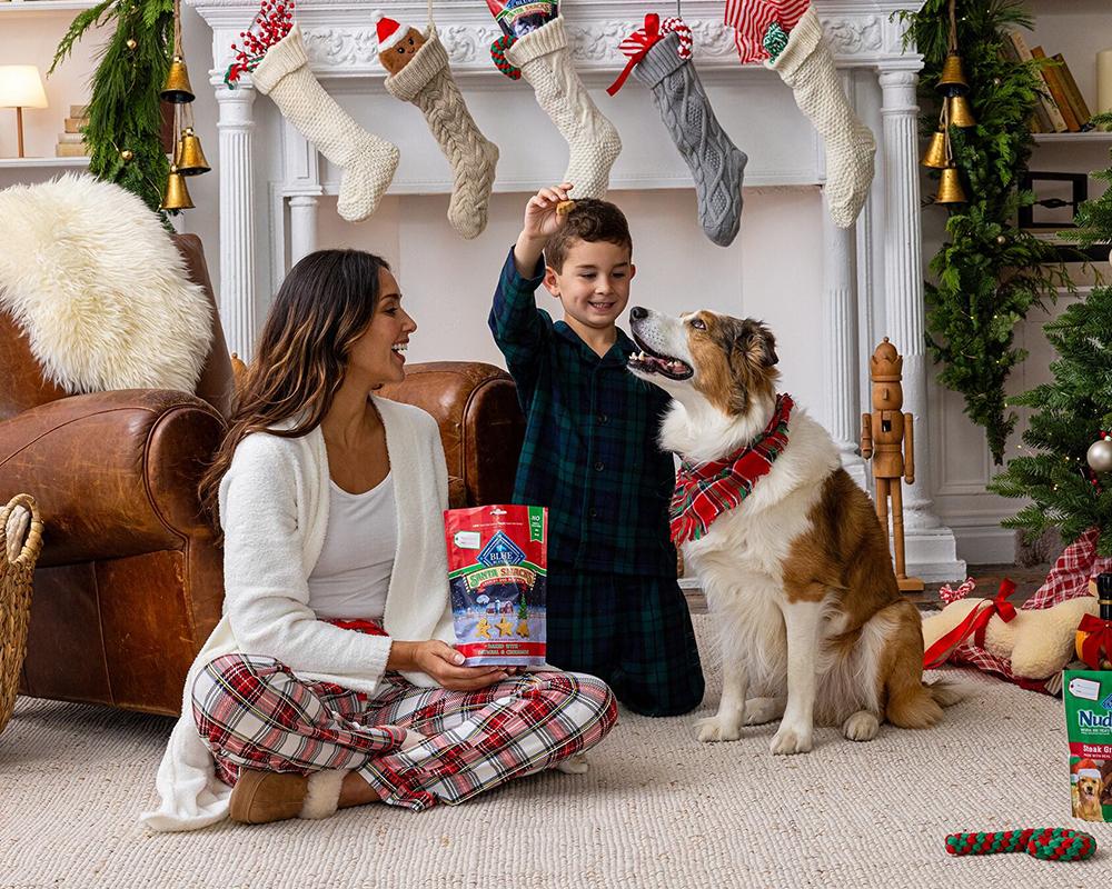 For the Pup You Love